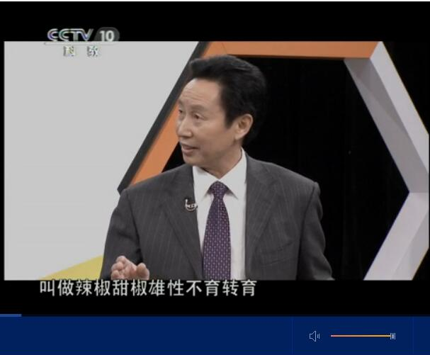 CCTV10频道：创新无限，民间辣椒王