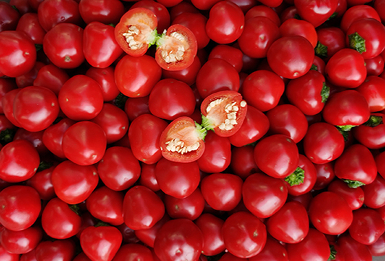 川椒种业：辣椒种子移栽密度对辣椒的生育和产量影响