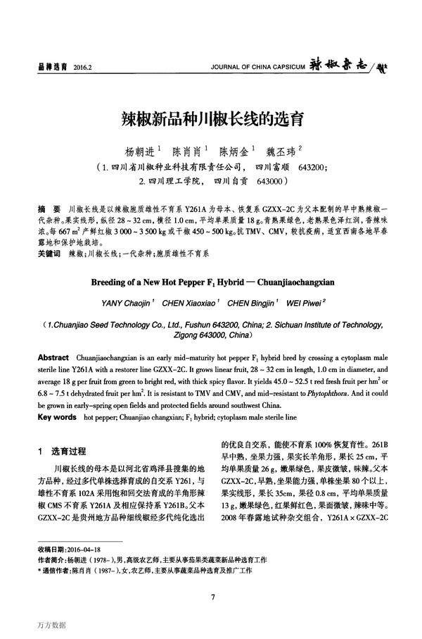 辣椒新品种川椒长线的选育