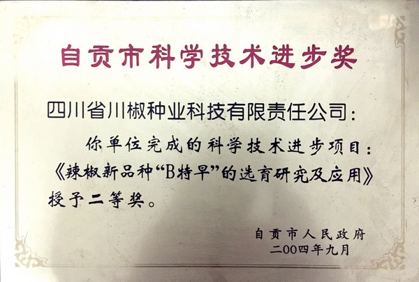 2004年自贡市二等奖“B特早”