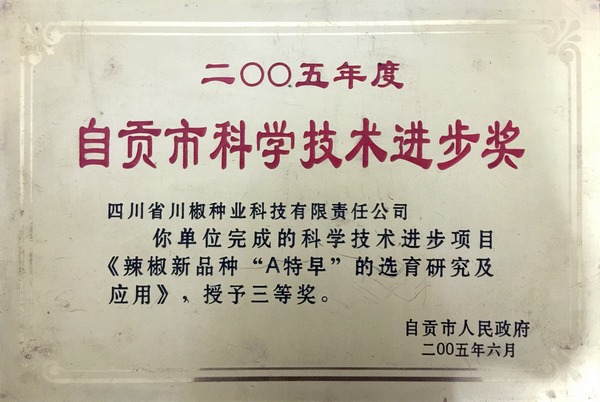 2005年自贡市三等奖“A特早”