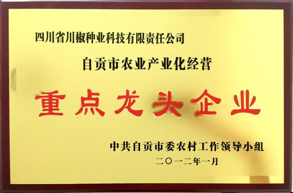 自贡市重点龙头企业