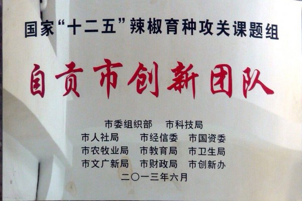 自贡市创新团队