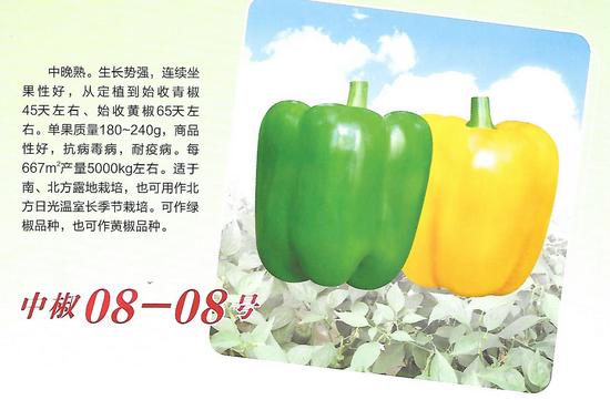 辣椒新品种川干香1号的选育