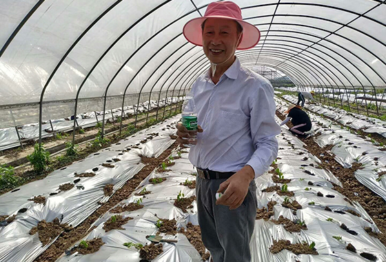 川椒种业：2020年川椒富顺科研基地品种定植汇报