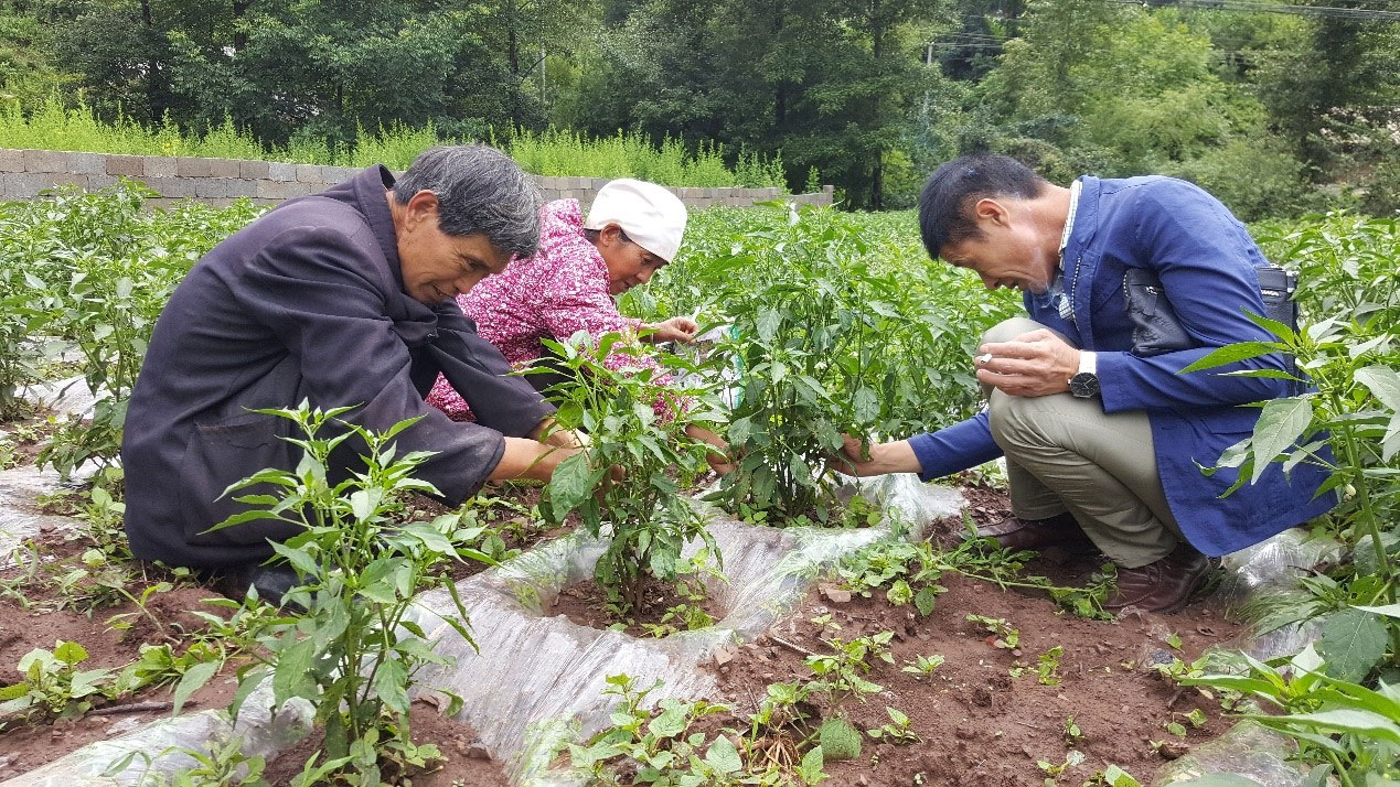 4年优质基地客户：罗玉华