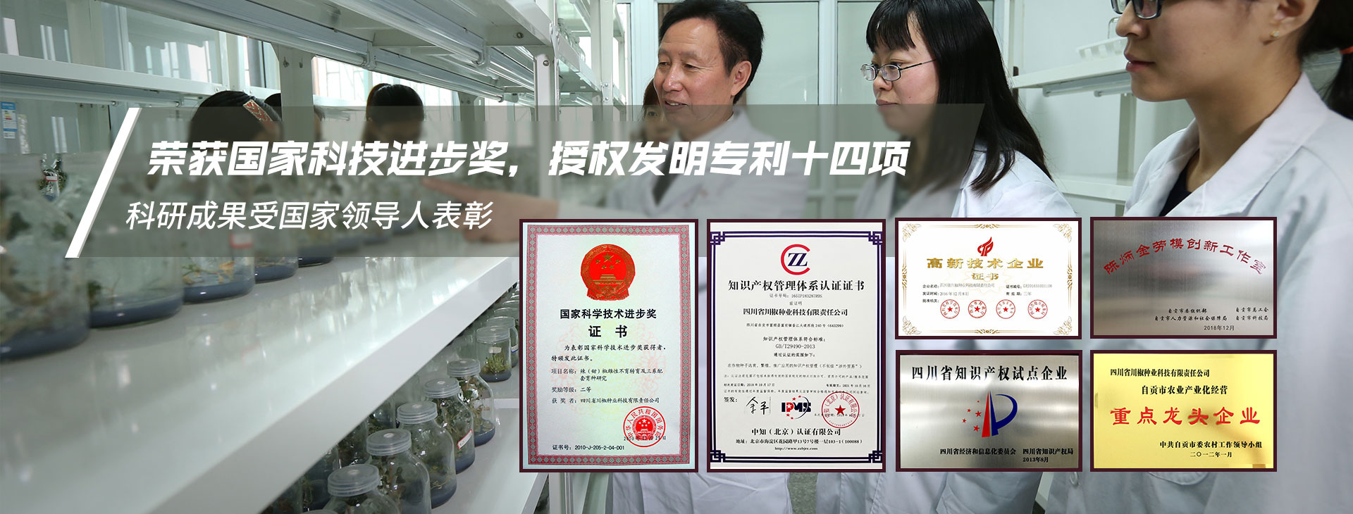 十四项（辣椒）发明专利，荣获国家科技进步奖，科研成果受国家领导人表彰