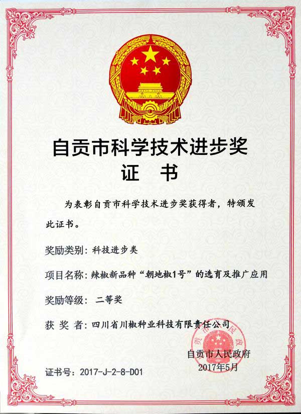 2017年自贡市科技进步二等奖