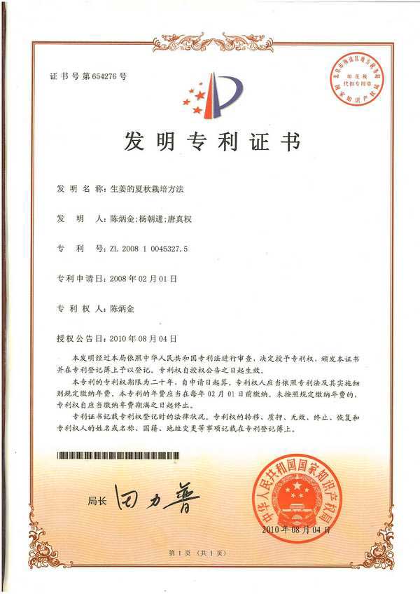 生姜的夏秋栽培方法