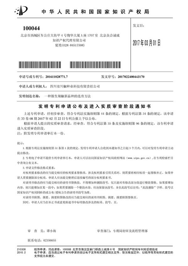 一种簇生辣椒新品种的选育方法