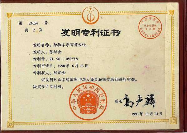 辣椒冬季育苗