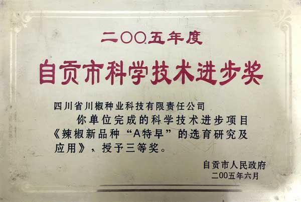 2005年自贡市三等奖“A特早”