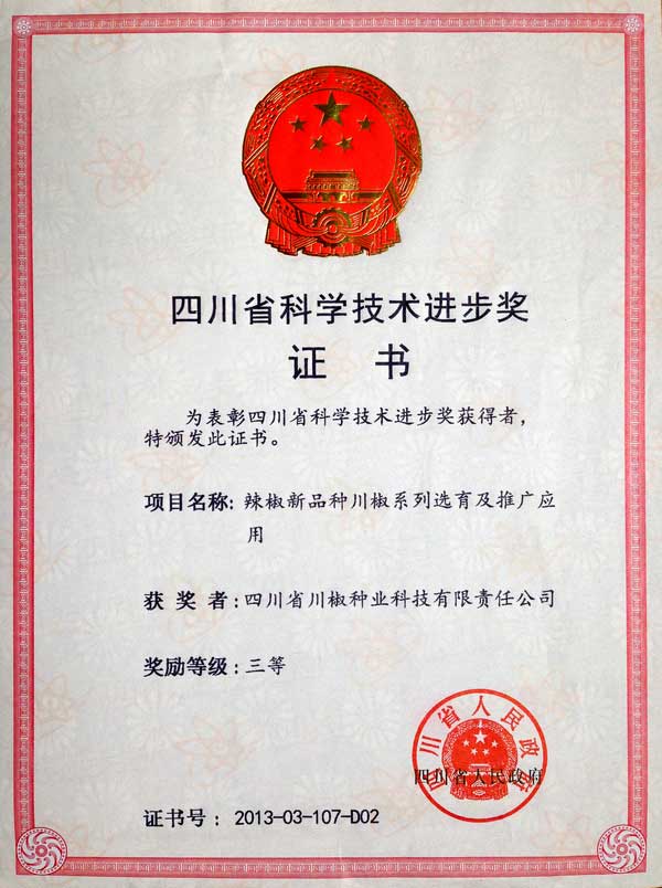 2013年四川省科技进步奖
