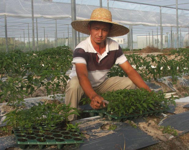 杨朝进