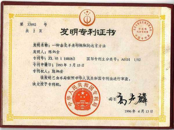 一种杂交羊角椒的选育方法