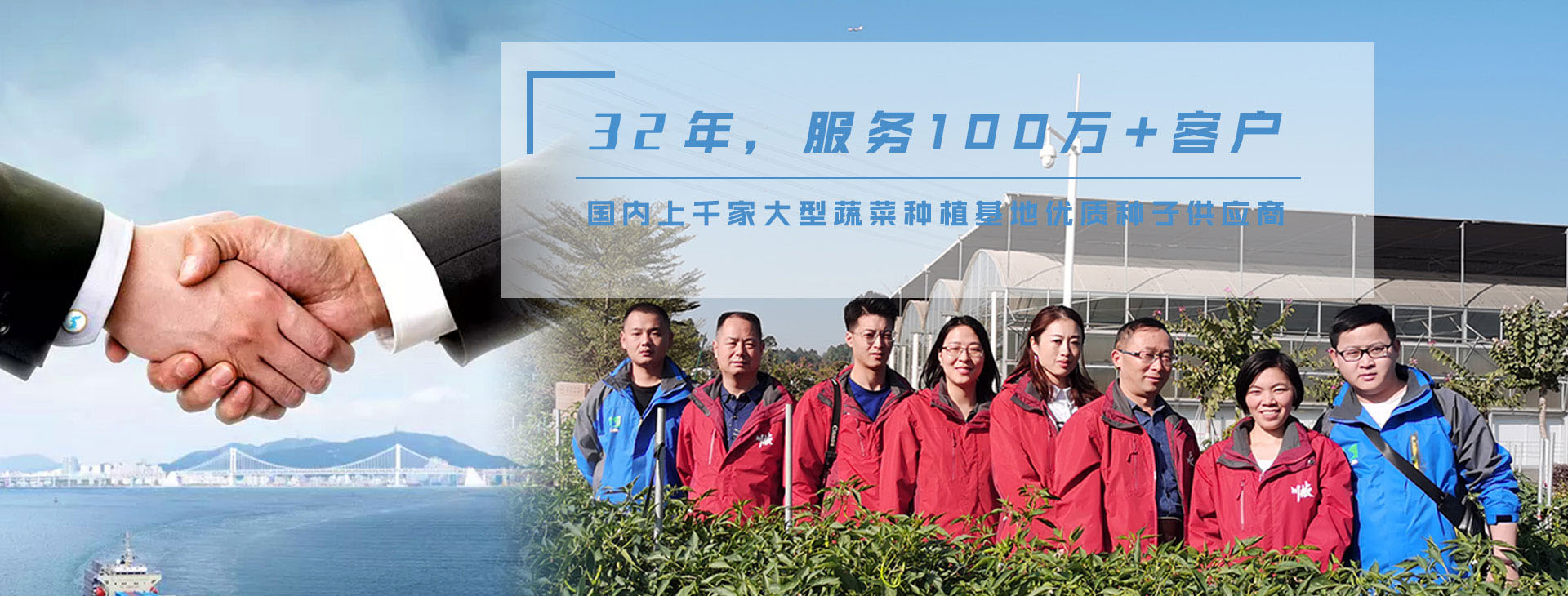 32年，服务100万+客户，国内上千家大型蔬菜种植基地优质种子供应商