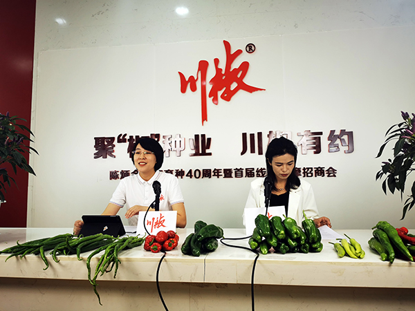 川椒种业-陈肖肖总经理在直播中讲解公司优惠政策