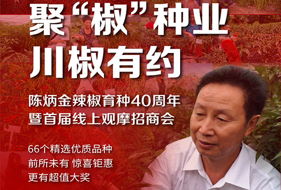 陈炳金辣椒育种科研40周年暨川椒种业首届线上观摩招商会​圆满收官