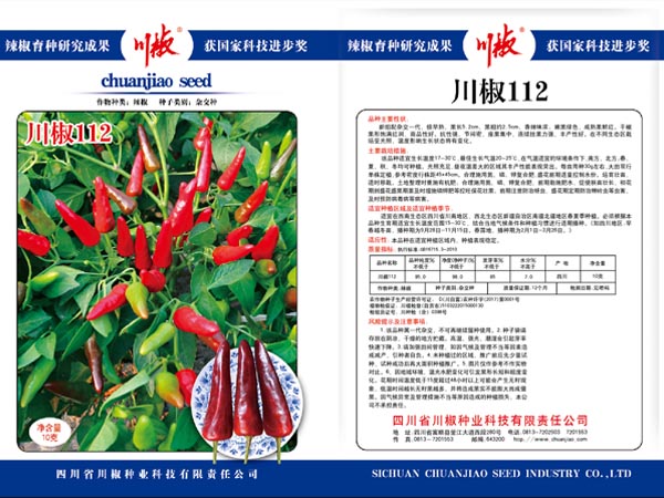 辣椒种子