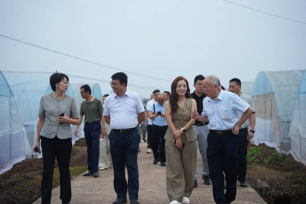 辣业兴农聚合力 全链共生谋发展——院士专家齐聚富顺,吹响辣椒产业高质量发展号角 辣业兴农聚合力 全链共生谋发展——院士专家齐聚富顺,吹响辣椒产业高质量发展号角